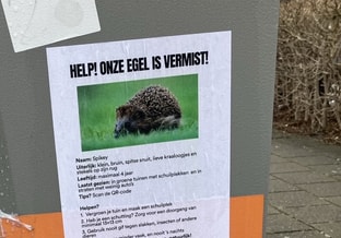 Foto egel vermist