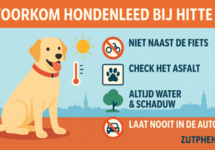 Honden hitte