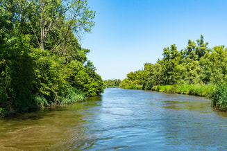 Shutterstock 1630472164 Biesbosch Dordrecht
