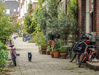 Groenindestraat