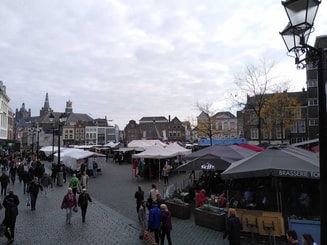 Partij voor de Dieren PvdD partij van de dieren dierenpartij pvvd pvdd esther ouwehand gemeenteraadsverkiezingen 2022 gemeente gemeenteraad verkiezingen groen duurzaam politiek Den Bosch den bosch vegan klimaat ´s-Hertogenbosch