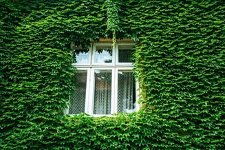 Wonen en bouwen
