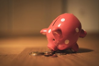Economie en bedrijvigheid