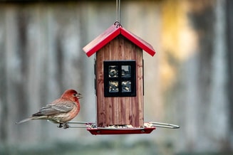 Huisjes