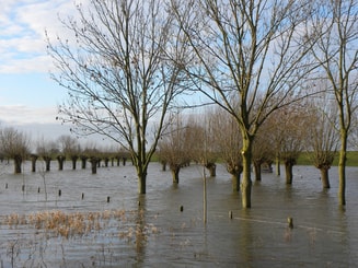 High Water 2940596 1920