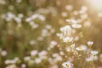 Micheile henderson w IHOF Lc Zl Hs unsplash