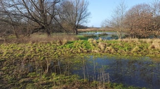 Natuur landschap