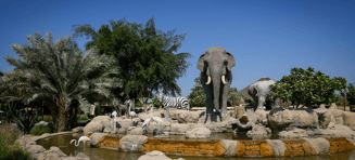 Olifant dierentuin