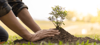Plantaardige landbouw