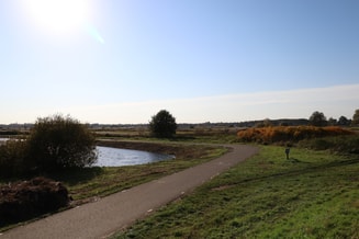 Partij voor de Dieren PvdD partij van de dieren dierenpartij pvvd pvdd esther ouwehand gemeenteraadsverkiezingen 2022 gemeente gemeenteraad verkiezingen groen duurzaam politiek Den Bosch den bosch vegan klimaat ´s-Hertogenbosch