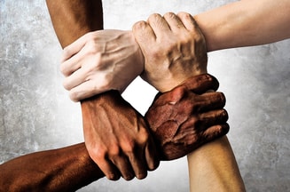Racism Partij voor de Dieren PvdD partij van de dieren dierenpartij pvvd pvdd esther ouwehand gemeenteraadsverkiezingen 2022 gemeente gemeenteraad verkiezingen groen duurzaam politiek Den Bosch den bosch vegan klimaat ´s-Hertogenbosch