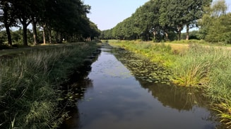 Almelo nordhorn canal 2080639 1920