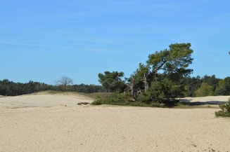 Natuur en biodiversiteit