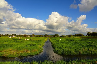 6 natuurlijkwaterpeil