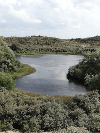 008_Pvd D_Rijnland_Meer_Katwijk-pxhere.com