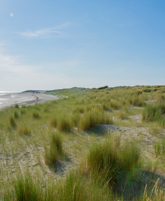 Pim de boer aw Ps A Zsf W Iw unsplash