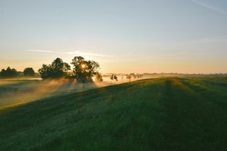 Jisca lucia ss Cj5t0 Yw Ds unsplash