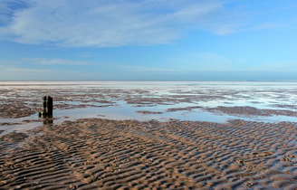 Wadden