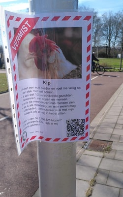Vermist poster kip