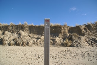 Hondsbossche Duinen 1