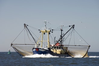 Vissersboot i Stockphoto com Digi Clicks