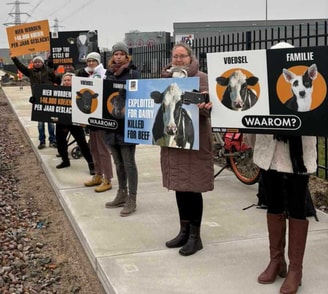 Cowsafe protest 2024 foto1