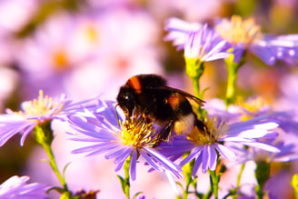 Krzysztof Niewolny 1170833 Unsplash