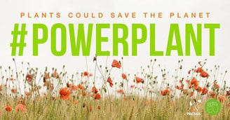Powerplant