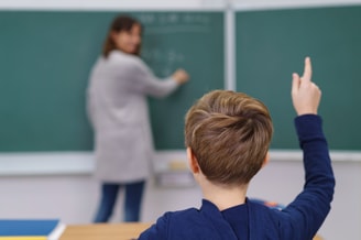 school onderwijs kind jongere universiteit cultuur wetenschap partij voor de dieren pvdd aarde klimaat dierenpartij esther ouwehand plan b tweede kamer verkiezingen 2021