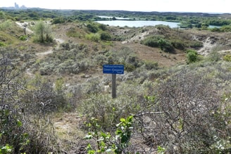 Meijendel G Lanting Wikimedia Commons