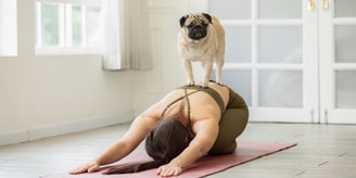 Puppy yoga omslagfoto website