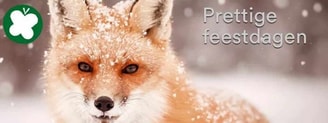 Prettige feestdagen als achtergrond website en Facebook