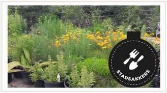 Stadsakkers logo met foto
