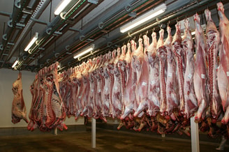 Slachthuis slachten slacht NVWA toezichthouders dierenartsen vleessector veesector Westfort