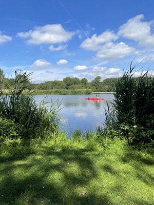 Vlietland Natuur