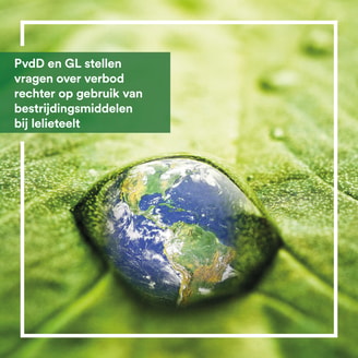 20230623 Afb vragen gif bij lelieteelt