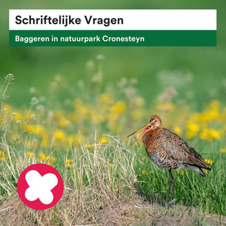Cronesteyn