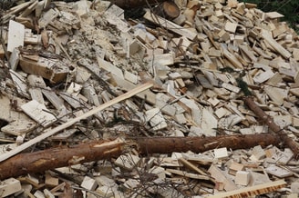 Hout Biomassa