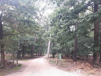 Kroondomein Bos