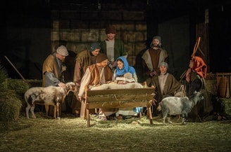Levende kerststal