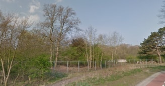 Meijendel