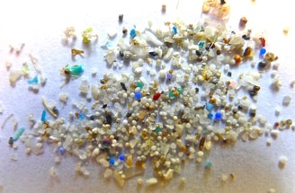 Microplastic nanoplastic plastic cosmetica zwerfafval rivieren oceaan zee milieu