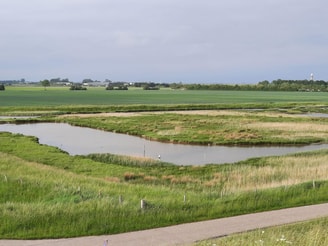 Natuur naast akker