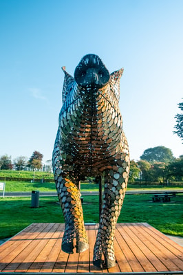 Onthulling varken Partij voor de Dieren