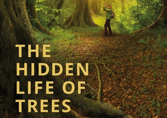 The Hidden Life of Trees