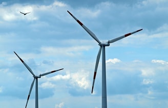 Windmolens en Vogel