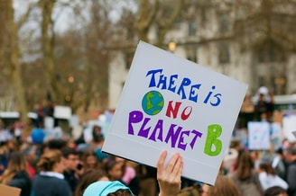 Demonstration 4193109 960 720