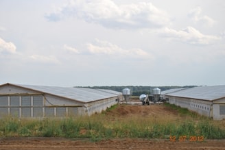 Fokkerij 73Ef83D3