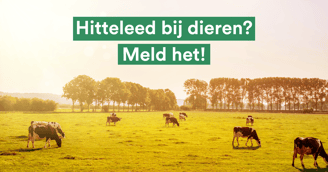 Hitteleed header