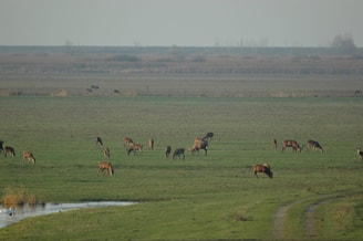Jaaroverzicht2022